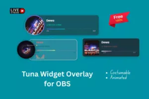 Widget Player OBS